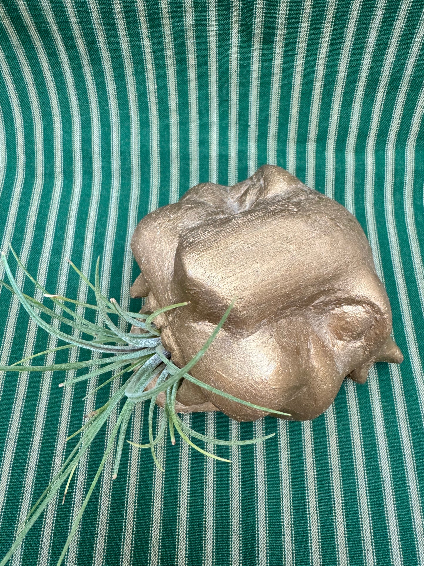 Mexican Jaguar Mask