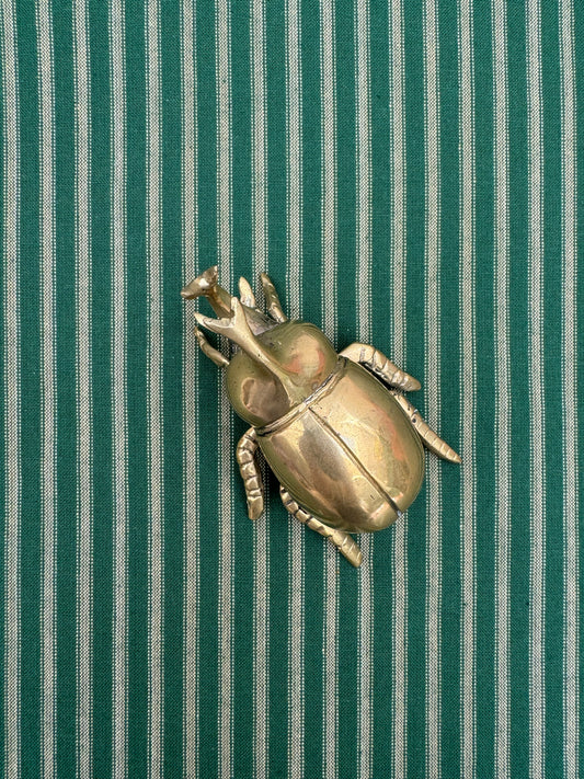 Brass Elephant Beetle