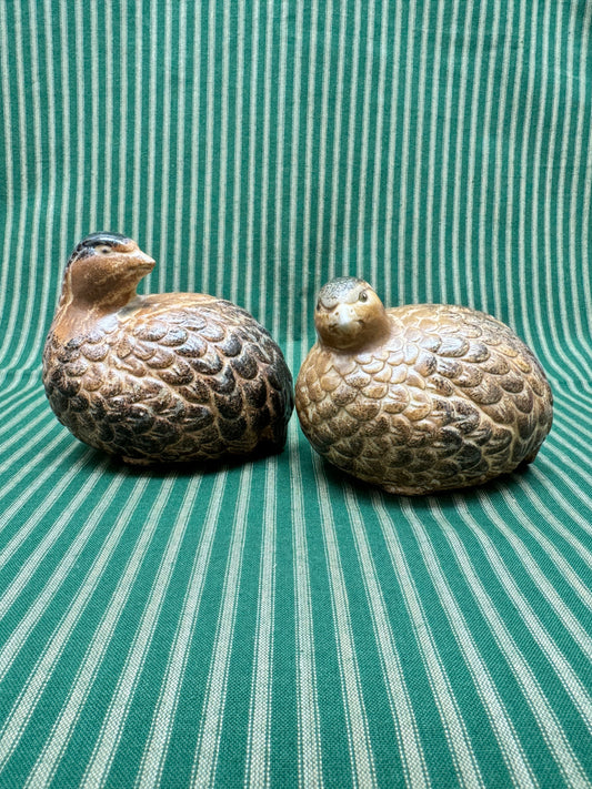 Otagiri Quails (2)